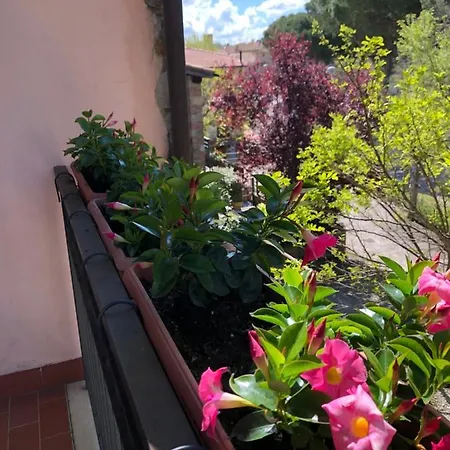 Διαμέρισμα I Fiori Self-check-in Capanne