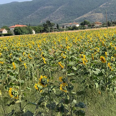 I Fiori Self-check-in Διαμέρισμα *
